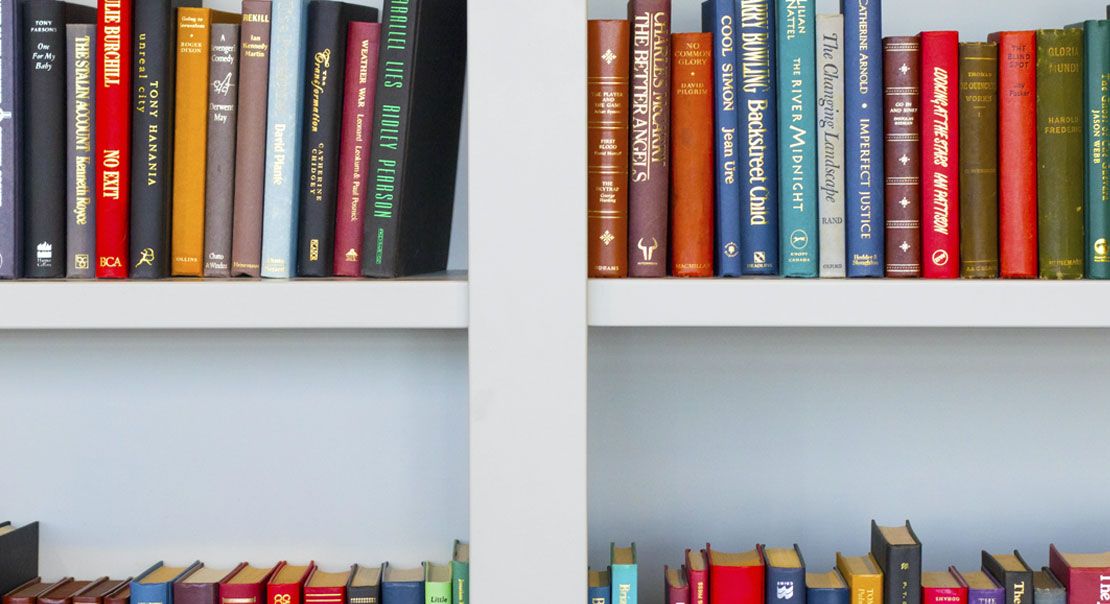 Book Shelf with Books Book Shelf with Books